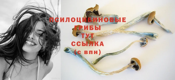 дурь Алексеевка