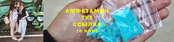 ECSTASY Алзамай