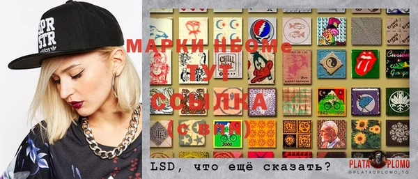ECSTASY Алзамай