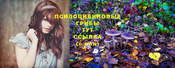 тгк Алексин