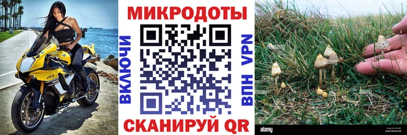 Галлюциногенные грибы GOLDEN TEACHER  закладки  Миасс 