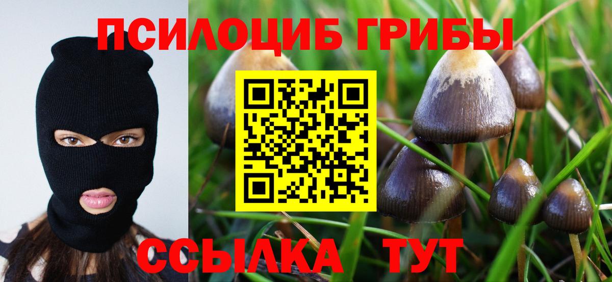 Миасс  Галлюциногенные грибы GOLDEN TEACHER  Галлюциногенные грибы мицелий  Вход с VPN 